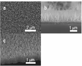 Fig. 8. SEM images of large arrays of oriented ZnO  nanorods grown on polystyrene (PS)/polycarbonate  (PC) substrates for 8 h