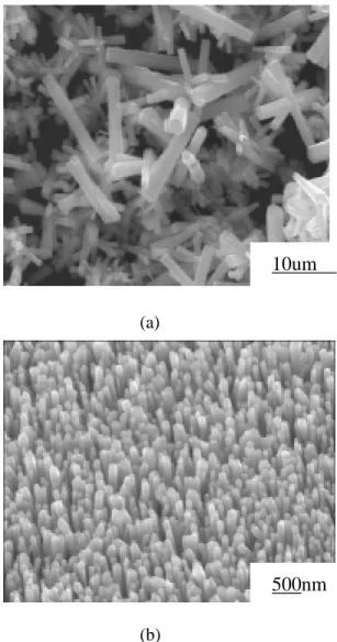 Fig. 1.  SEM micrographs of ZnO nanorods      grown on different substrates: (a) Si  substrate and (b) ZnO f /Si substrate