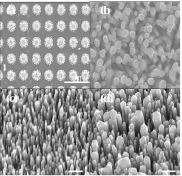 Fig. 2. X-ray diffraction patterns of ZnO  nanorods grown on (a) Si and (b) ZnO f /Si   substrates
