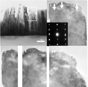 Fig. 3.  Both ZNs diameter and ZnO f  grain size  as a function of annealing temperature