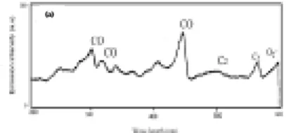 Figure 1 (a) SEM image of carbon nanotubes in  a CO 2 -CH 4  gas mixture with 96% of flow rate  ratio of CH 4  /CO 2  (b) SEM image of aligned  carbon nanotubes observed at 96% of the flow  rate of CH 4 /CO 2 