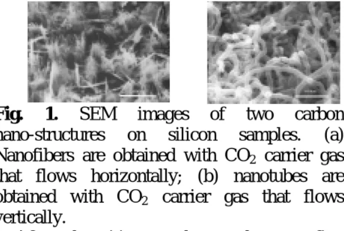 Fig. 1. SEM images of two carbon  nano-structures on silicon samples. (a)  Nanofibers are obtained with CO 2  carrier gas  that flows horizontally; (b) nanotubes are  obtained with CO 2  carrier gas that flows  vertically
