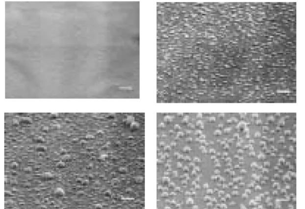 Fig. 3. Emission  current density  against applied  voltage and the  F-N plot for the  nanofibers, 