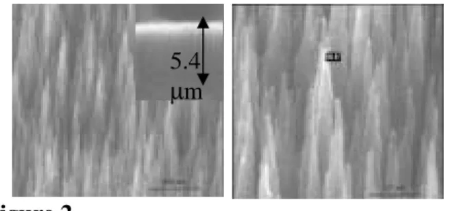 Fig. 2 shows these well-aligned carbon  nanotips grown upward to 5.4 µm length and 64  nm in diameter under -120V
