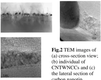 Fig. 1 SEM photographs of (a) cross-section  view; (b) top view and (c) high magnification  images of CNTWNCCs
