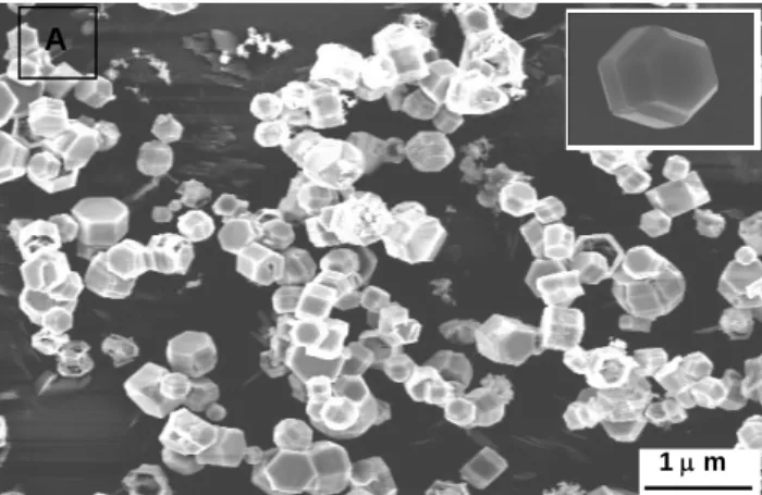 Fig.  3.  SEM  images  of  Zn  polygon  prismatic  nanocrystals growing as a function of time