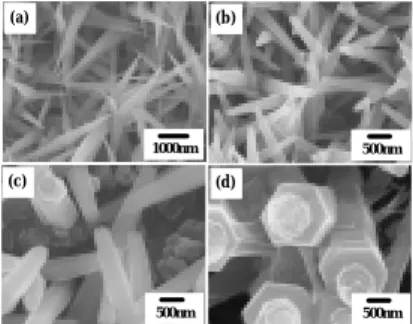 Fig. 6. EELS experiments and elemental mapping of the AlN  nanotips: (a) Original TEM image; (b) Al mapping; (c) N  mapping