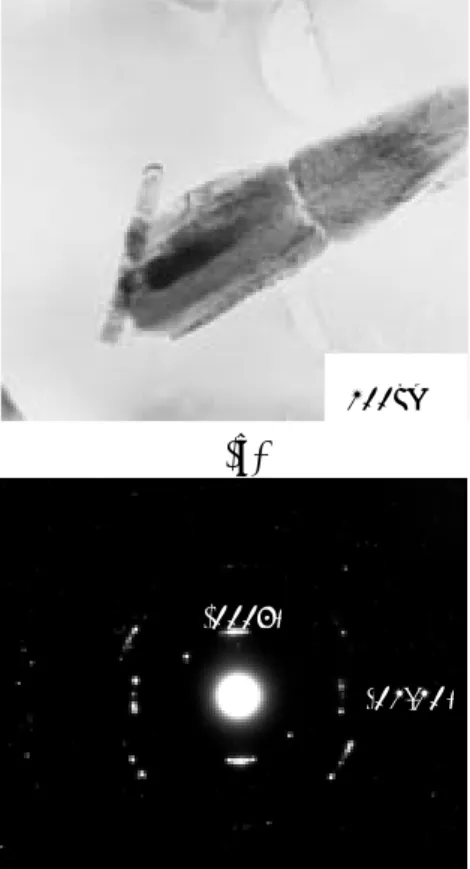 Figure 9. SEM images of ZnO nanorods grown  on PS/PC substrates as a function of reaction  time at 75 ℃ 
