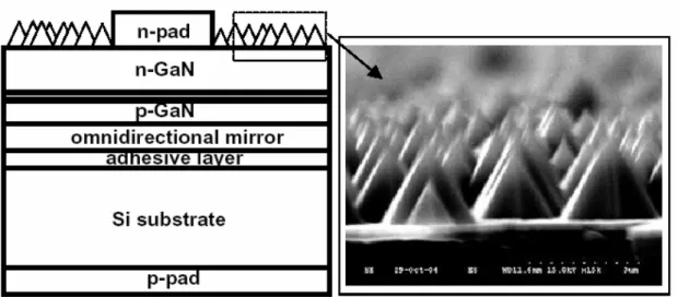 Fig. 1. (a) Schematic illustration of the vertical InGaN LED structure. (b) the SEM  image of roughened surface