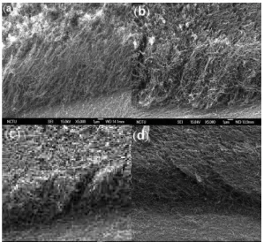 Fig. 2 The I-V curves of as-grown CNTs  under different applied bias. 