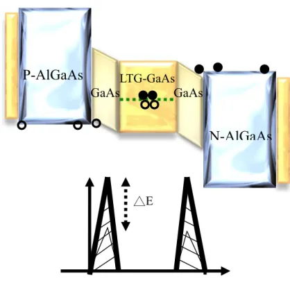 Figure 2- 9 A schematic diagram of electrical field distribution for STR-PD while applied higher external field