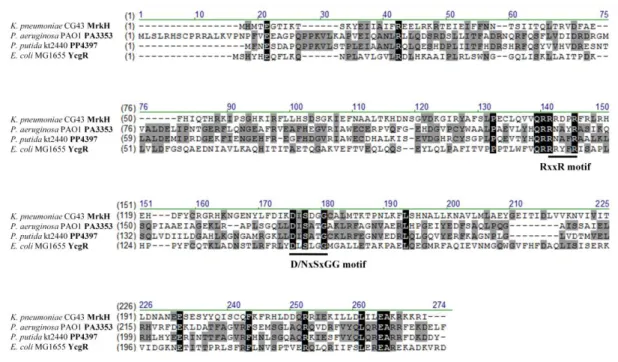 Fig. 2.  Comparative sequence alignment of the PilZ domains 