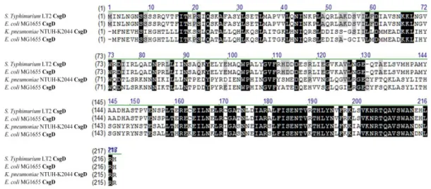 Fig. 4.  Comparative sequence alignment of the CsgDs 