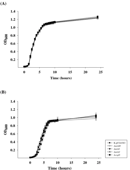 Fig. 6.  Growth of CG43S3 and the derived mutants in LB and M9 media 