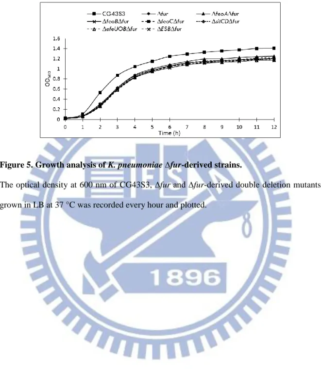 Figure 5. Growth analysis of K. pneumoniae ∆fur-derived strains. 
