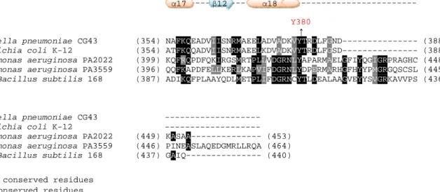 Fig. 1. Sequence comparison of Ugd from different bacteria. Multiple sequence  alignment of Ugd from K