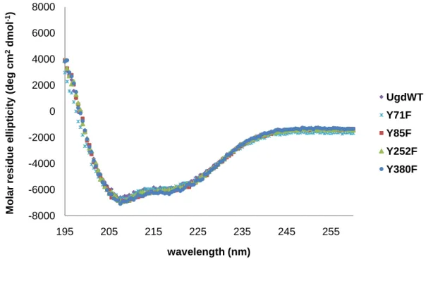 Fig. 8. Circular dichroism spectra of the wild-type and mutant Ugd.  The CD spectra signals were collected from 195 nm to 260 nm in 10 mM  Tris–HCl at 25 °C and averaged over three scans