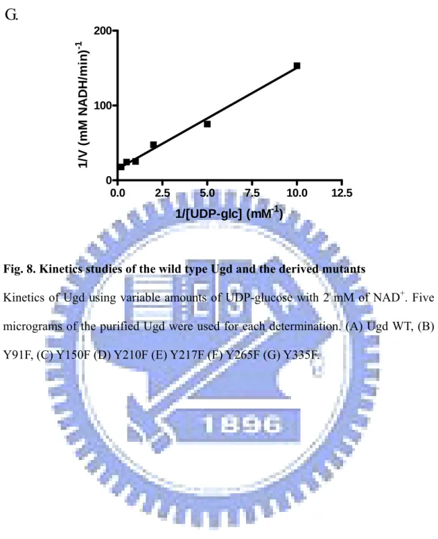 Fig. 8. Kinetics studies of the wild type Ugd and the derived mutants   