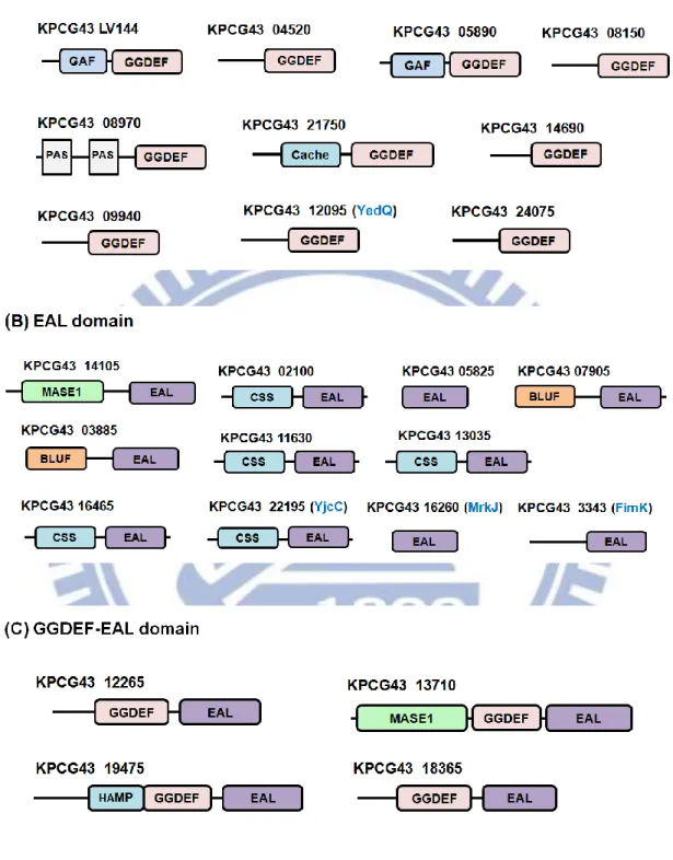Fig.  1.1.  Domain  architecture  of  putative  c-di-GMP  signaling  proteins  encoded 