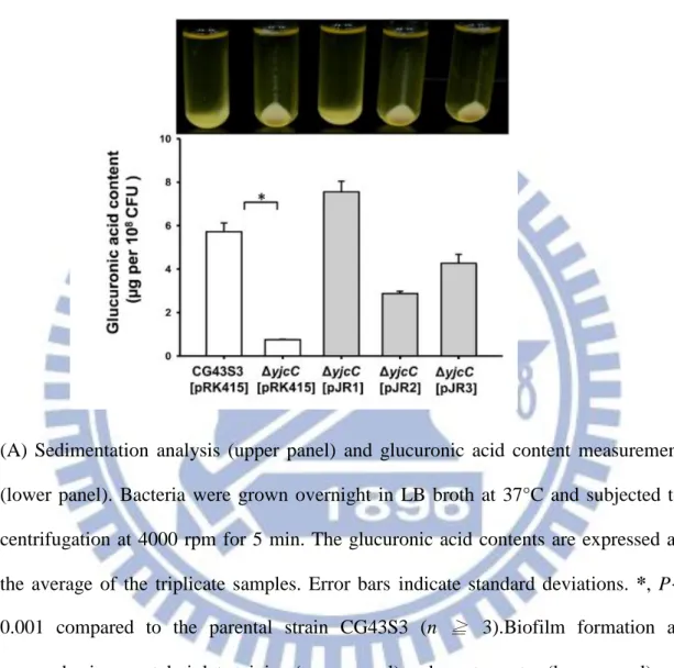 Fig.  2.4.  YjcC  affects  the  CPS  biosynthesis,  biofilm  formation  and  MrkA  production