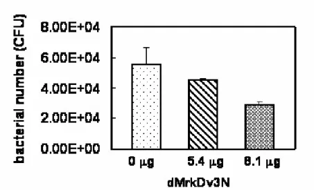 Fig. 5. Competition assay. dMrkDv3N was used as a competitor against E. coli  carrying type 3 fimbriae with MrkDv3 in collagen IV binding assay