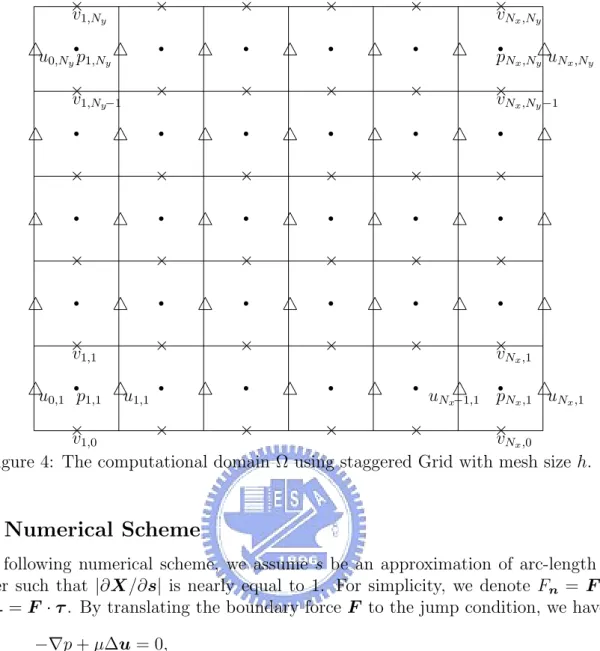Figure 4: The computational domain Ω using staggered Grid with mesh size h.