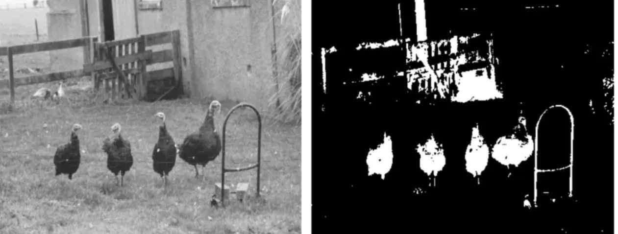 Fig. 2-8 Connected component algorithm. Left: original image. Right: processed  image [14]