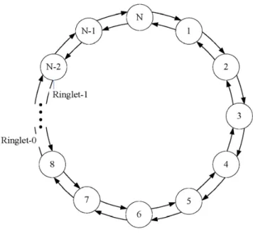 Figure 1.1: RPR structure 