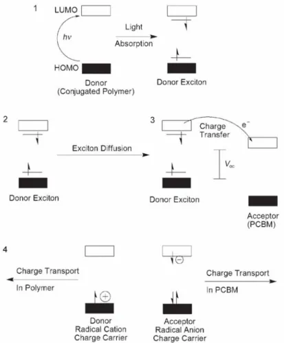Figure 1-1 General mechanism for photo energy conversion in solar cells. 