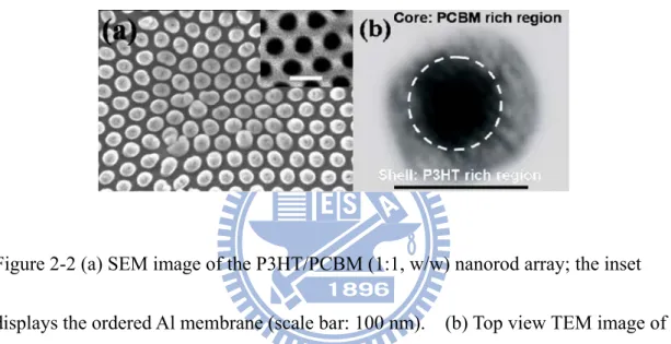 Figure 2-1 Cartoon representation of the well-ordered nanorod structures. 