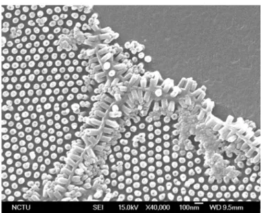 Figure A.2-3 Scanning electron microscopy (SEM) images of the P3HT/PCBM  nanorod nanostructures