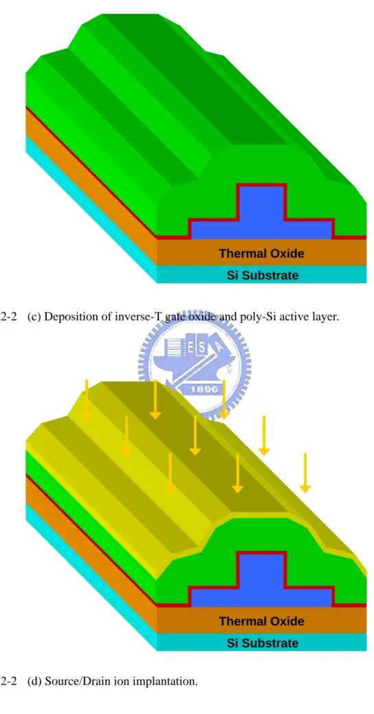Fig. 2-2  (d) Source/Drain ion implantation. 