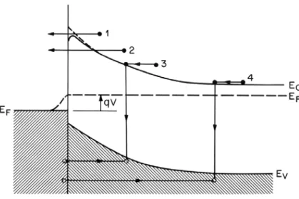Fig 2.9 The four mechanisms of current transport in the metal-semiconductor    junction (1) thermonic emission(TE), (2) thermonic field emission(TFE),    (3) generation-recombination, (4) minor carrier injection