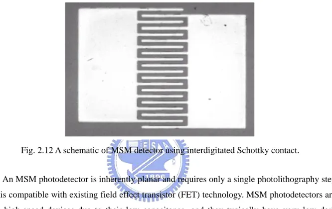 Fig. 2.12 A schematic of MSM detector using interdigitated Schottky contact. 