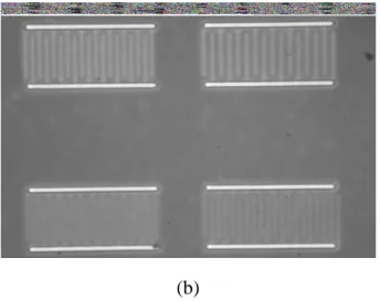Fig 4.1 Photographs of samples after processes (a) finger metal deposition,  (b) contact opening, and (c) bonding pad metallization.
