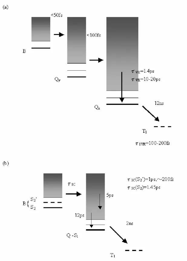 圖 1-9 Zewail 等人提出的(a) H 2 TPP (b)ZnTPP 在苯溶劑中的去激化動力學模型。 