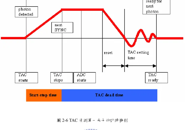 圖 2-6 TAC 偵測單一光子的計時機制          在單一個脈衝週期中若是出現兩個光子，TAC 在接受到第一個光子後就會 開始充電，此時的 TAC 形同「blind」，因此無法接受到第二個較慢到達的光子， 致使光譜不能完整地紀錄到實際的光子分佈而變形，相較於真實的光譜，在這種 情況下所得到的會是較快的衰減過程，為了避免發生這樣的情形，必須確定每個 激發脈衝所產生的螢光光子被偵測到的機率遠小於一，這樣才能避免 TAC 在同 一個週期中接收到兩個光子。因此，時間相關單光子計數系統的實驗條件必須使 螢光