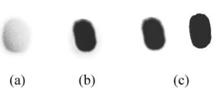 Figure 3.4 Comparison between real and simulated various ink  concentration.  