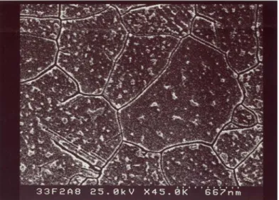 Fig. 3-5(c) show the SEM image of poly-Si film crystallized by ELA after Secco-etch. 