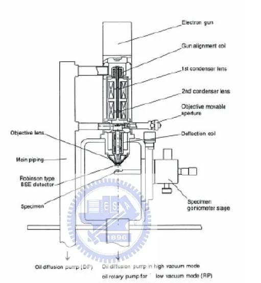 Fig 3-1. Schematic of the primary components of a typical  SEM. 