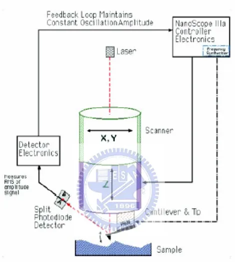 Fig 3-2. Schematic of the major components of an AFM  showing the feedback loop for TappingModeTM operation 