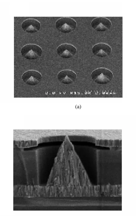 Figure 1-1 The SEM micrograph of (a) Spindt type triodes array, (b) Spindt type field  emission triode 