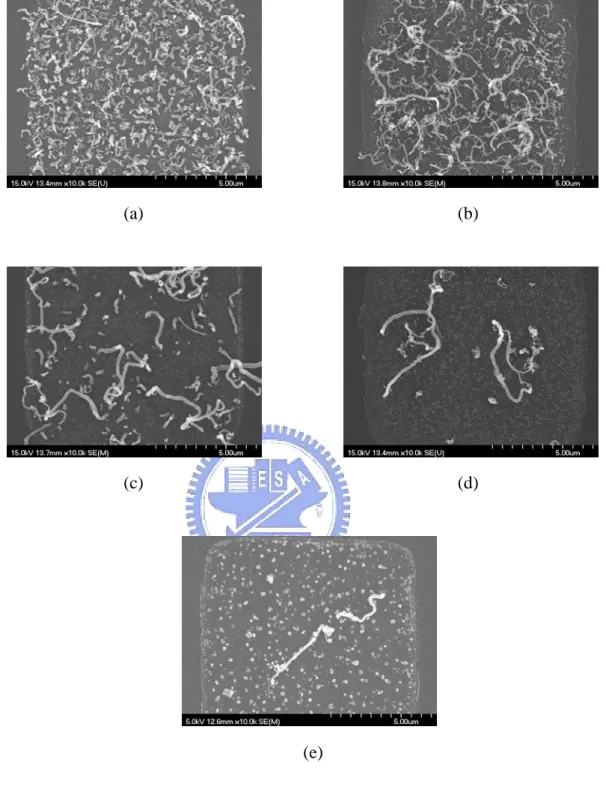 Figure 2-7 The SEM images of CNTs with different thicknesses of the thin Ti capping layer  from the top view: (a) 0 nm, (b) 0.5 nm, (c) 1 nm, (d) 2 nm, and (e) 4 nm