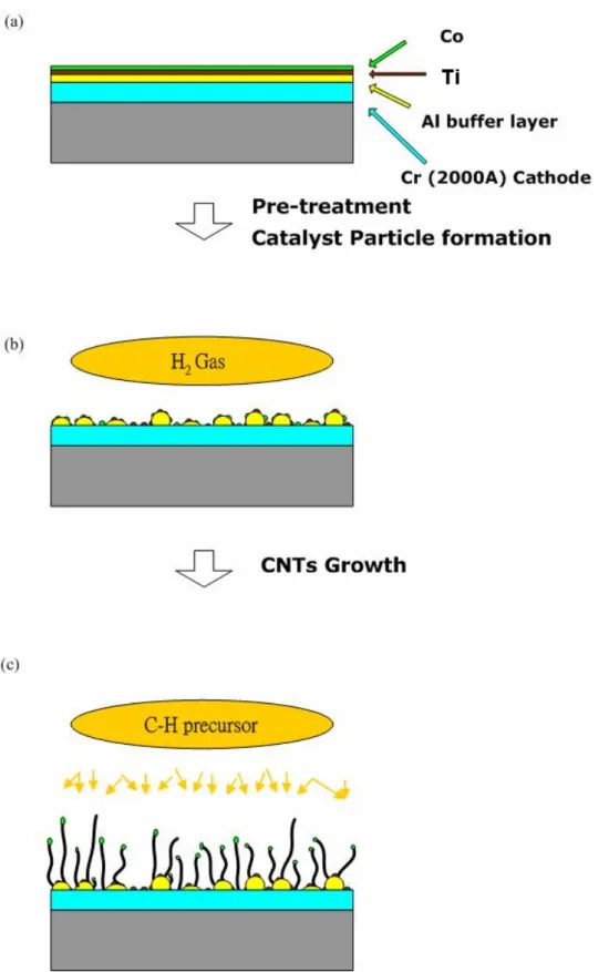 Fig. 1-13 The schematic diagram for the CNT growth using multilayered catalyst (a)  Multilayer deposition (b) Catalyst particles formation after pretreatment    (c)  CNT growth