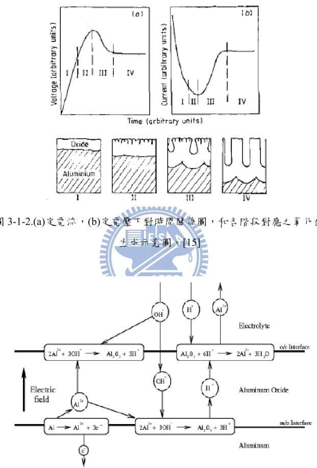 圖 3-1-3.陽極化過程中，各層薄膜反應示意圖。[16] 