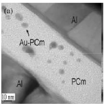 Fig. 1.7: Cross session TFM image of Au nano-particles in PCm matrix. 