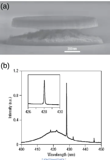 Figure 1.2 (a) Scanning electron microscope image of the 1.2-mm  microdisk(side view of disk)