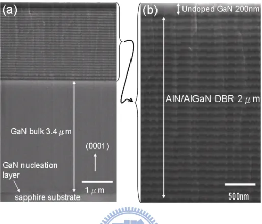 Figure 2.4 (a) A SEM image of UV DBR from cross-section view. The  total thickness of 25-pairs AlN/AlGaN DBR is about 2μm