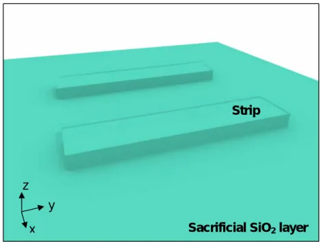 Fig. 2-1(a) The tilted view process step of the strip formation. Strip 
