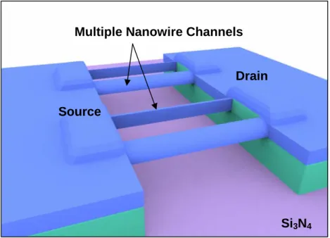 Fig. 2-1(e) The tilted view step of the suspending nanowire-channel formation. 